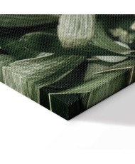 Paveikslas Kalėdinė amalo šakelė