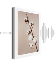 Paveikslas Švelni medvilnė