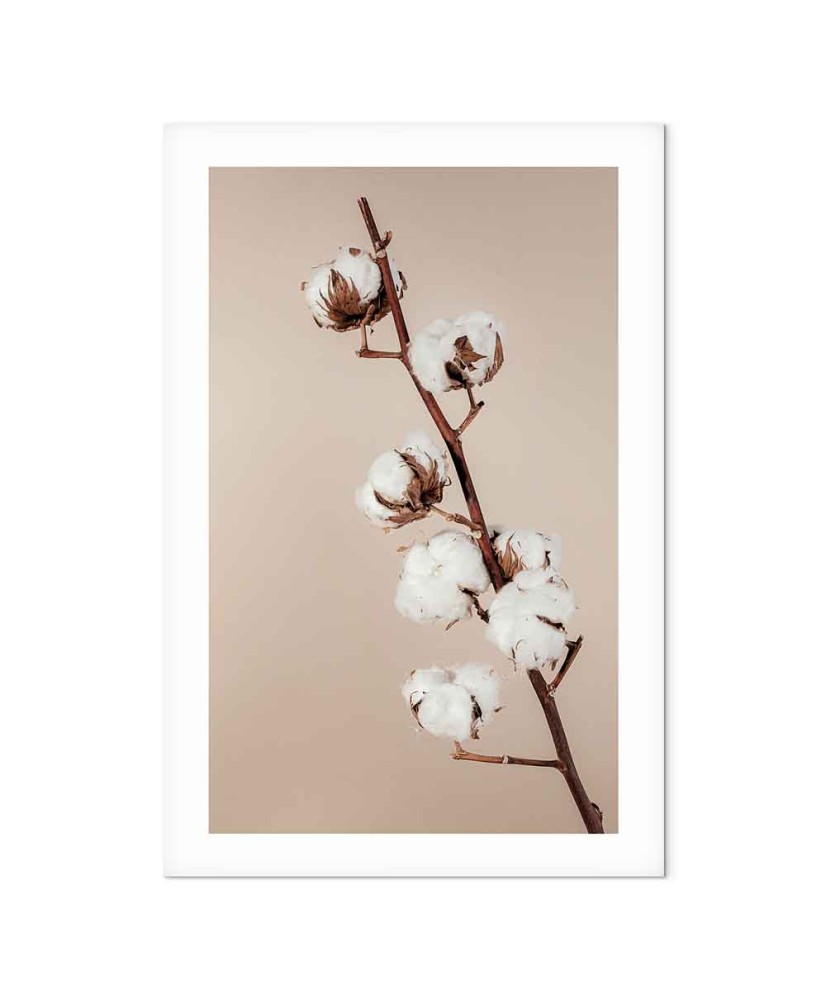 Paveikslas Švelni medvilnė