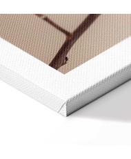 Paveikslas Švelni medvilnė