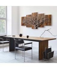 Paveikslas Medžio kronika