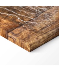 Paveikslas Medžio kronika