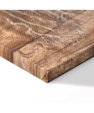 Paveikslas Medžio istorija