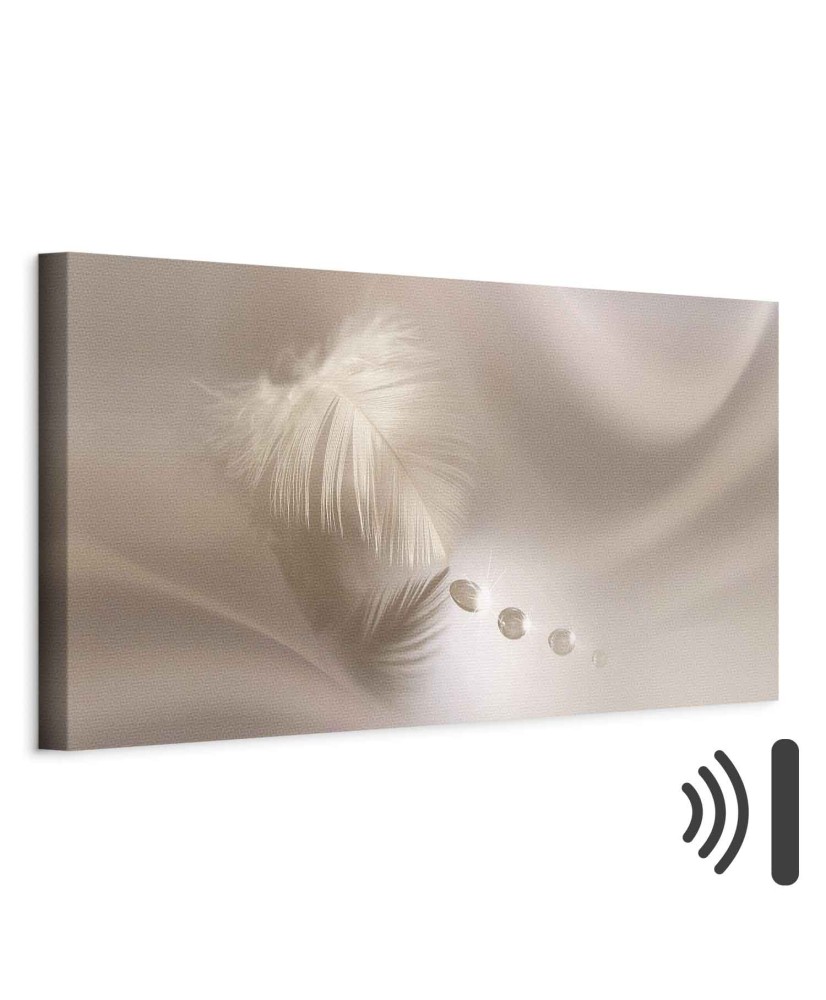 Paveikslas Švelni plunksna