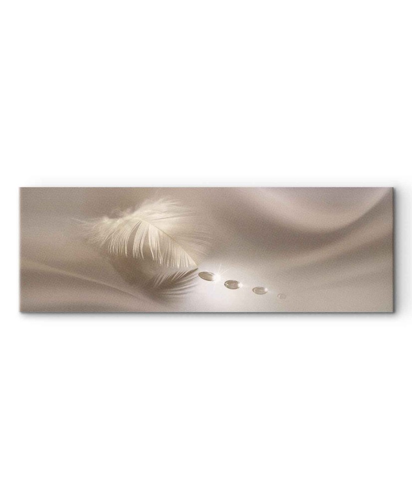 Paveikslas Švelni plunksna