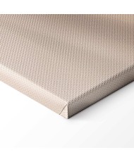 Paveikslas Švelni plunksna