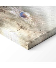 Paveikslas Ryto daina