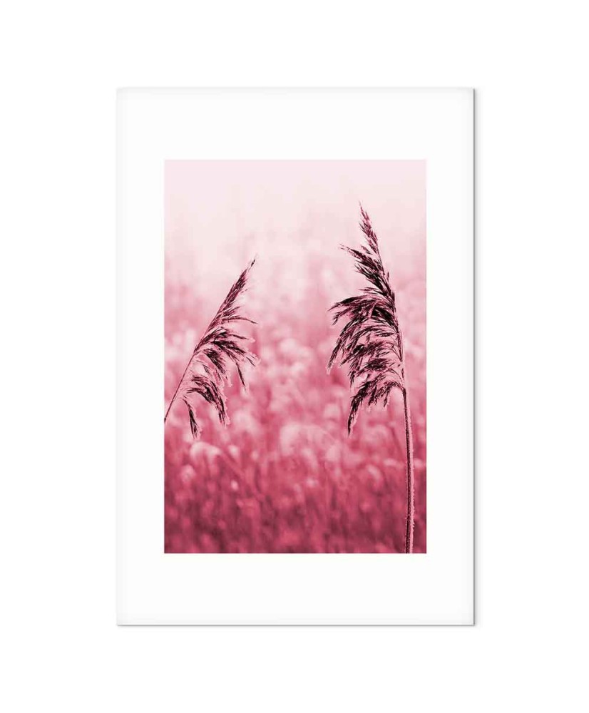 Paveikslas Rubino stiebas