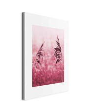 Paveikslas Rubino stiebas