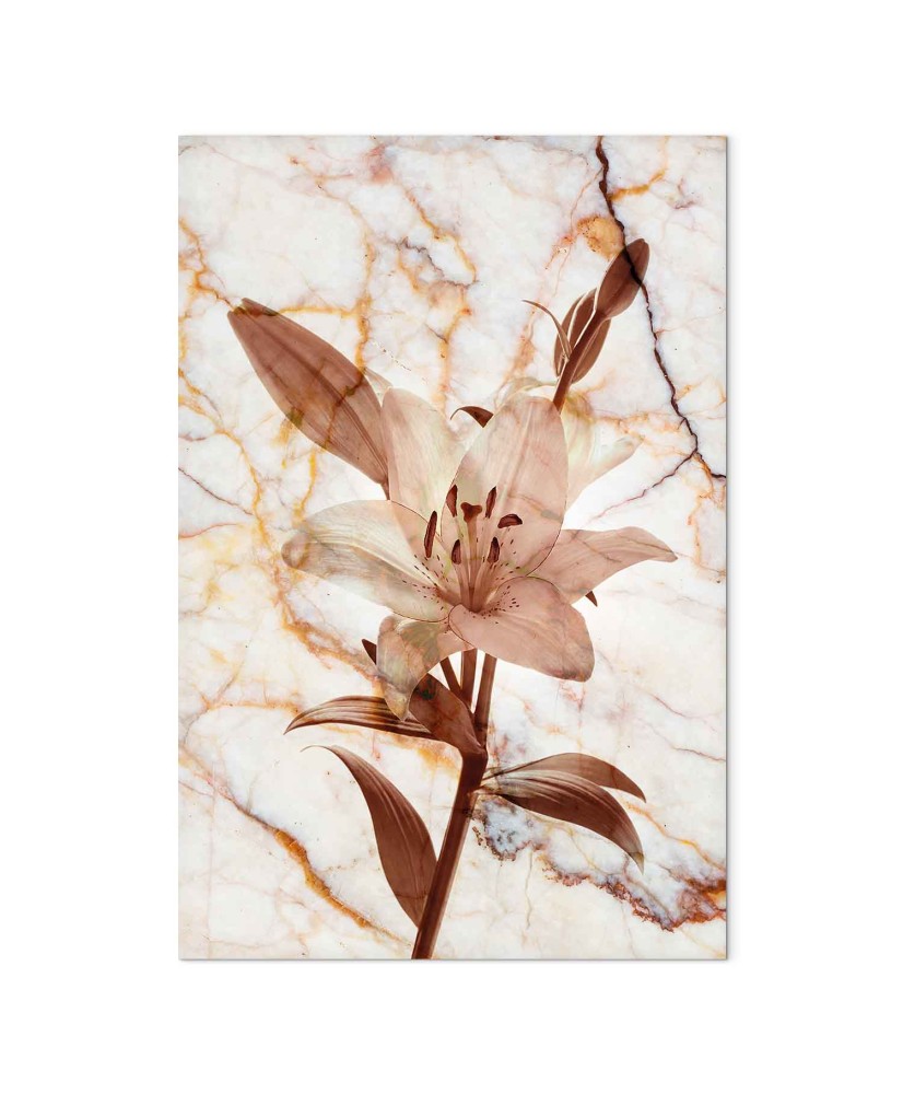 Paveikslas Švelnios lelijos elegancija