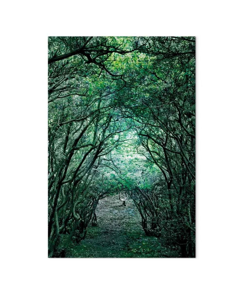 Paveikslas Žalia pergola