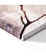 Paveikslas Magnolijos žavesys