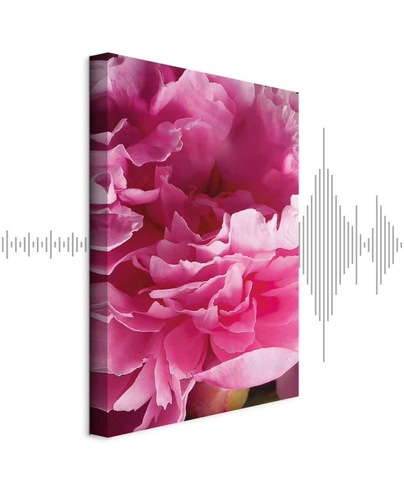 Paveikslas Bijūno žiedų grožis