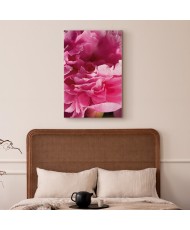 Paveikslas Bijūno žiedų grožis