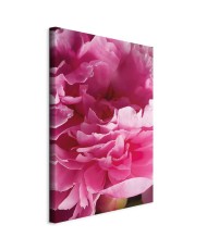 Paveikslas Bijūno žiedų grožis