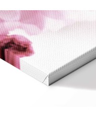 Paveikslas Gėlių žavesys