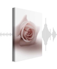 Paveikslas Švelni rožė