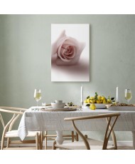 Paveikslas Švelni rožė