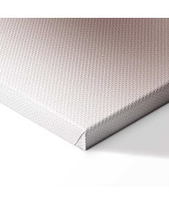 Paveikslas Švelni rožė