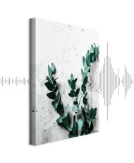 Paveikslas Eukalipto kvapas