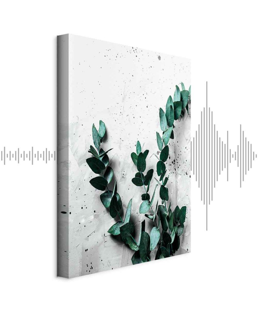 Paveikslas Eukalipto kvapas