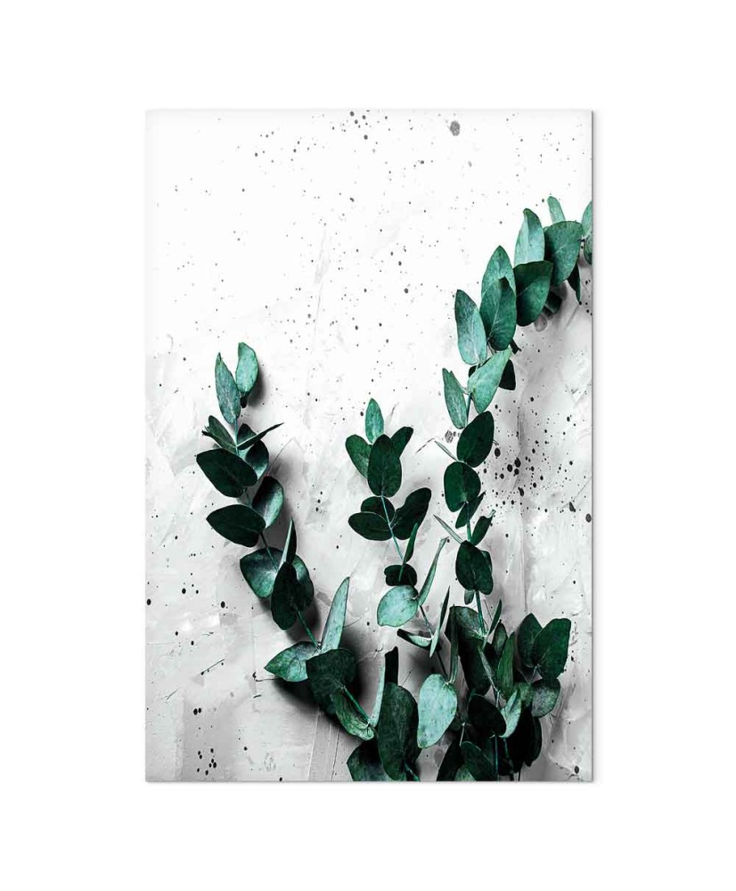 Paveikslas Eukalipto kvapas