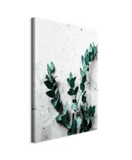 Paveikslas Eukalipto kvapas