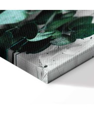 Paveikslas Eukalipto kvapas