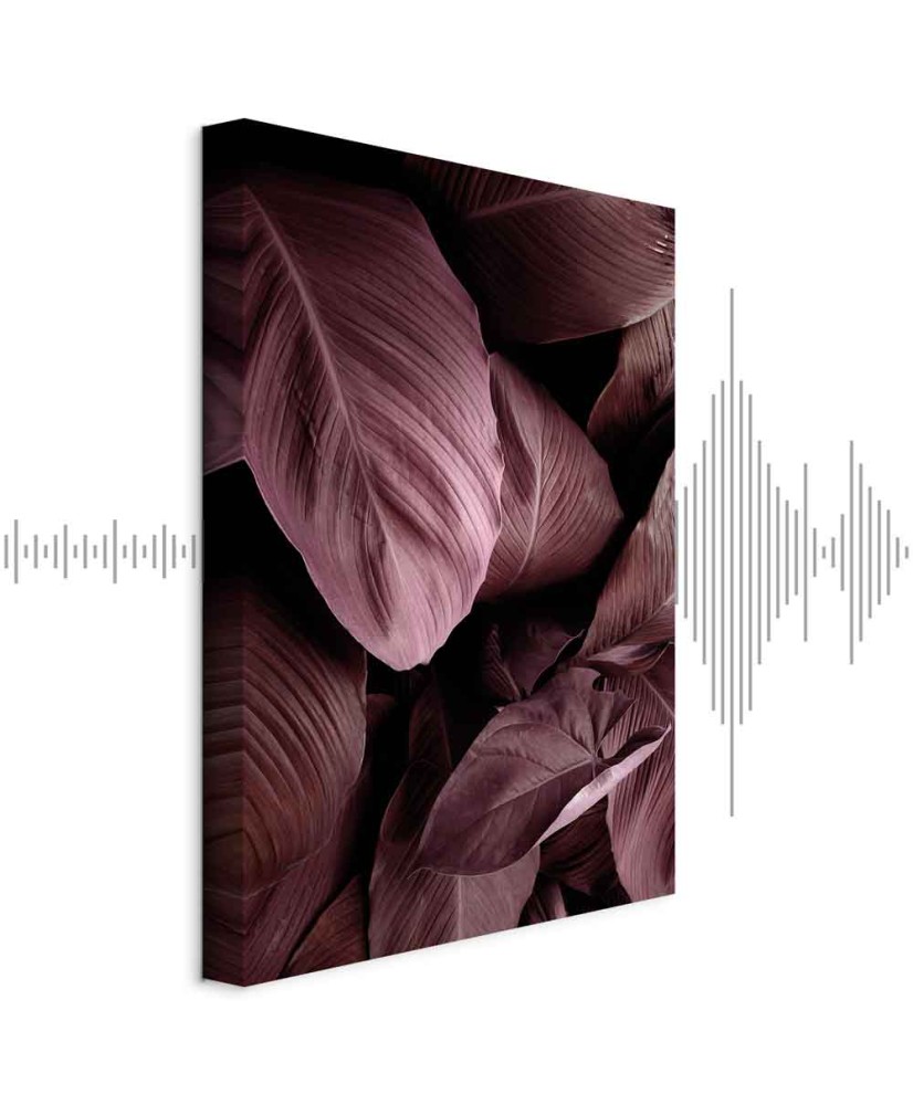 Paveikslas Aksominiai lapai