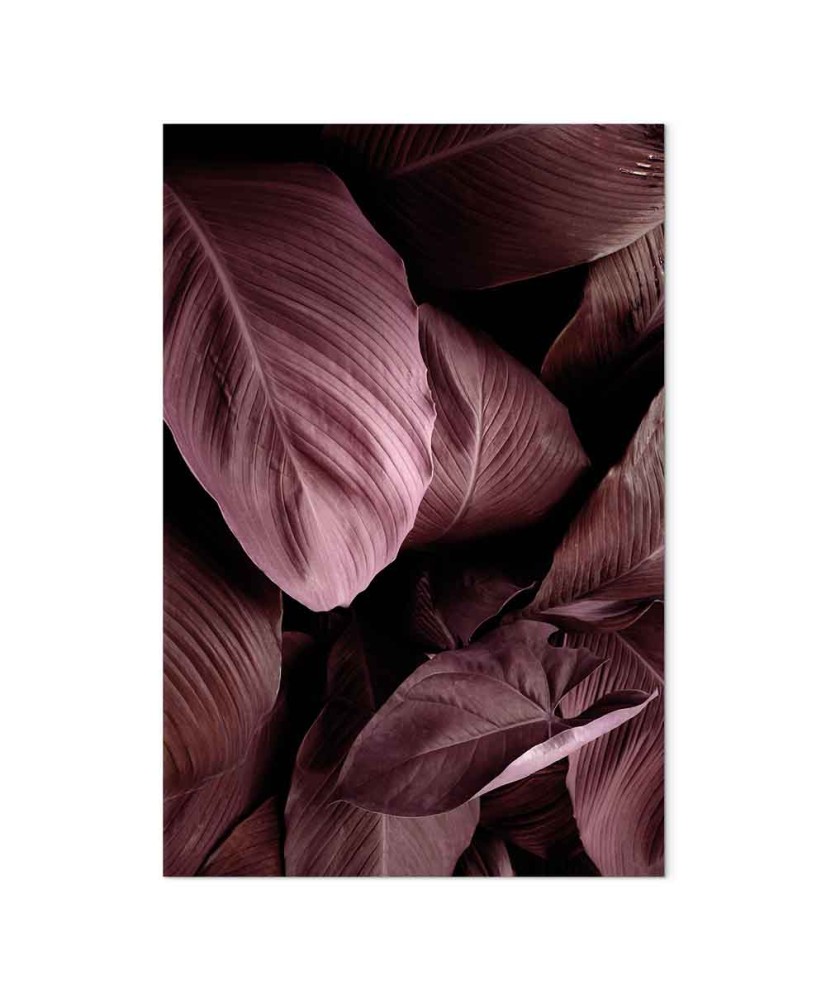 Paveikslas Aksominiai lapai