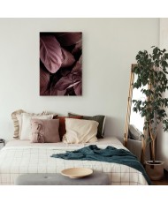 Paveikslas Aksominiai lapai