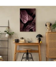 Paveikslas Aksominiai lapai