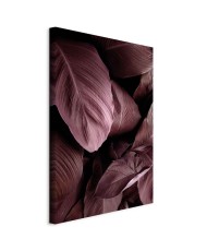 Paveikslas Aksominiai lapai