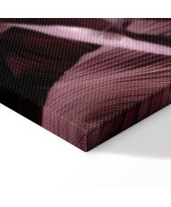 Paveikslas Aksominiai lapai