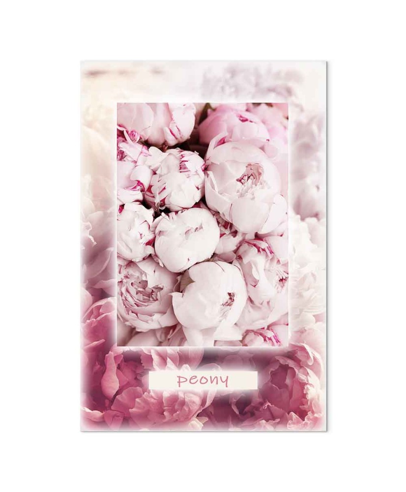 Paveikslas Pavasario švelnumas