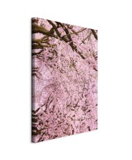 Paveikslas Vyšnių medis