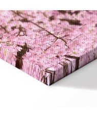 Paveikslas Vyšnių medis