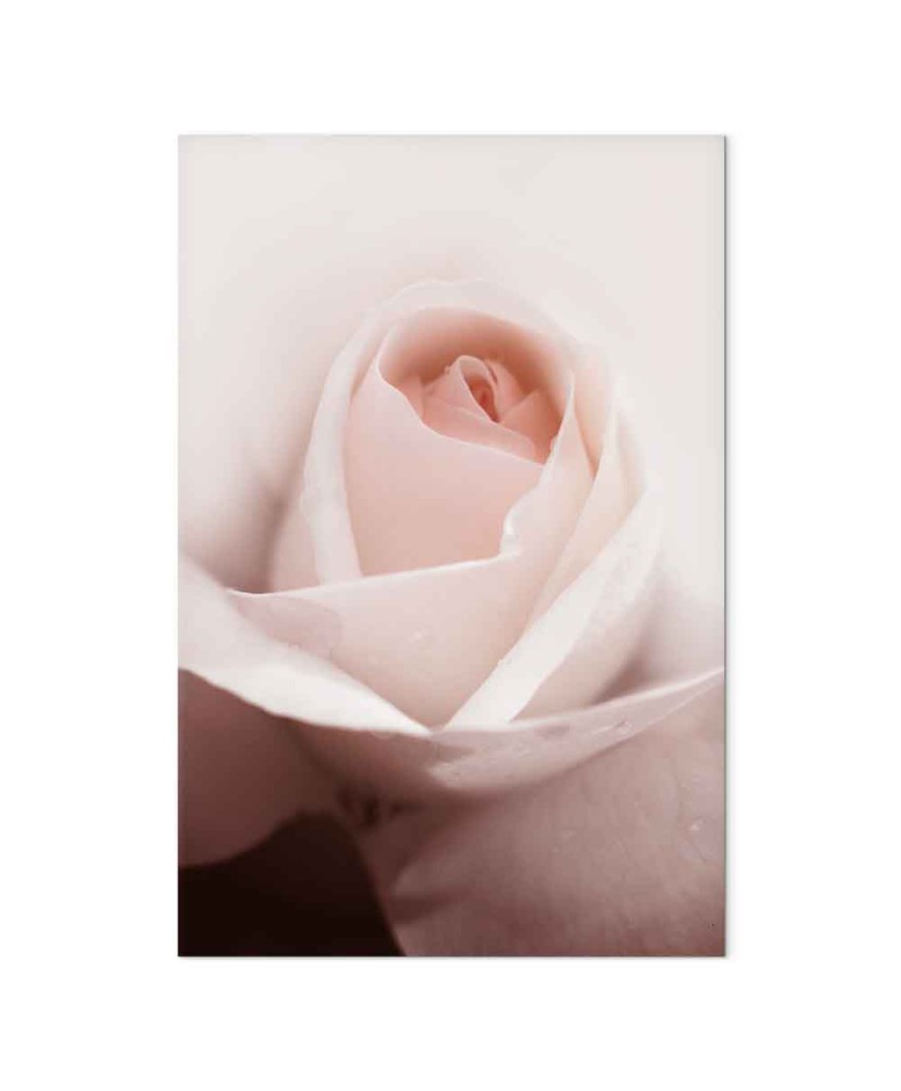 Paveikslas Jausmų lygmenys