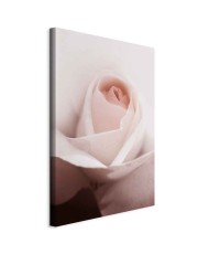 Paveikslas Jausmų lygmenys