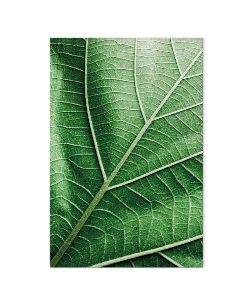 Paveikslas Malachito lapas