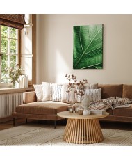 Paveikslas Malachito lapas