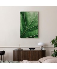 Paveikslas Malachito lapas