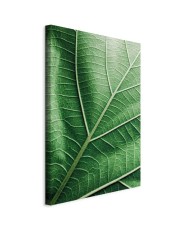 Paveikslas Malachito lapas