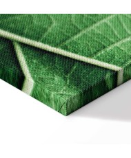 Paveikslas Malachito lapas