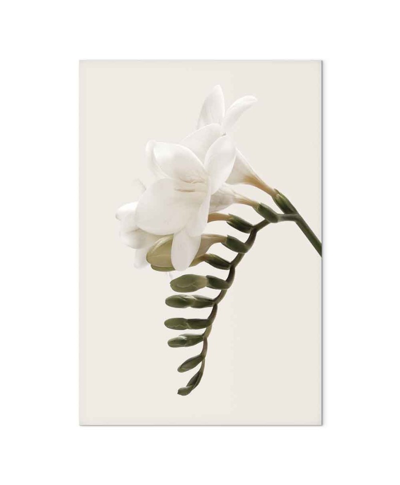 Paveikslas Pavasario puošmena