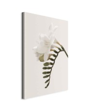 Paveikslas Pavasario puošmena