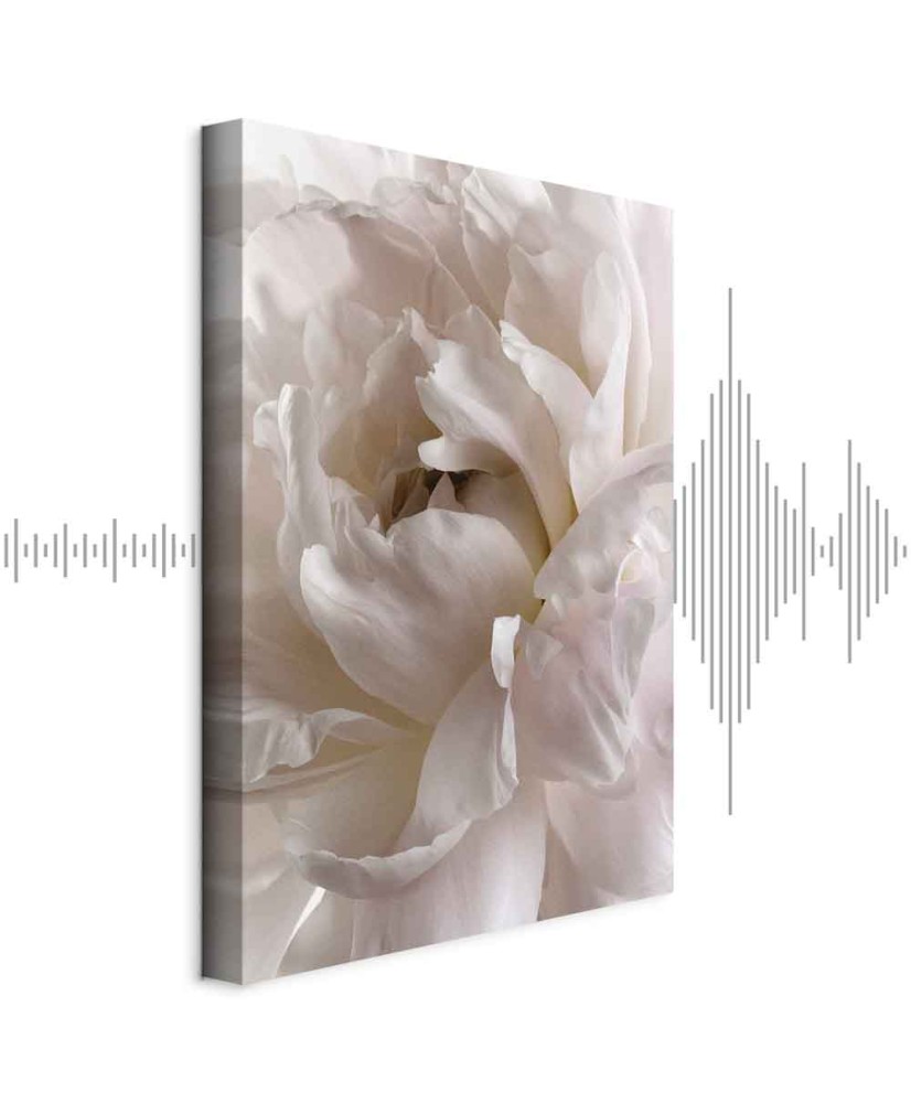 Paveikslas Pūkuota migla