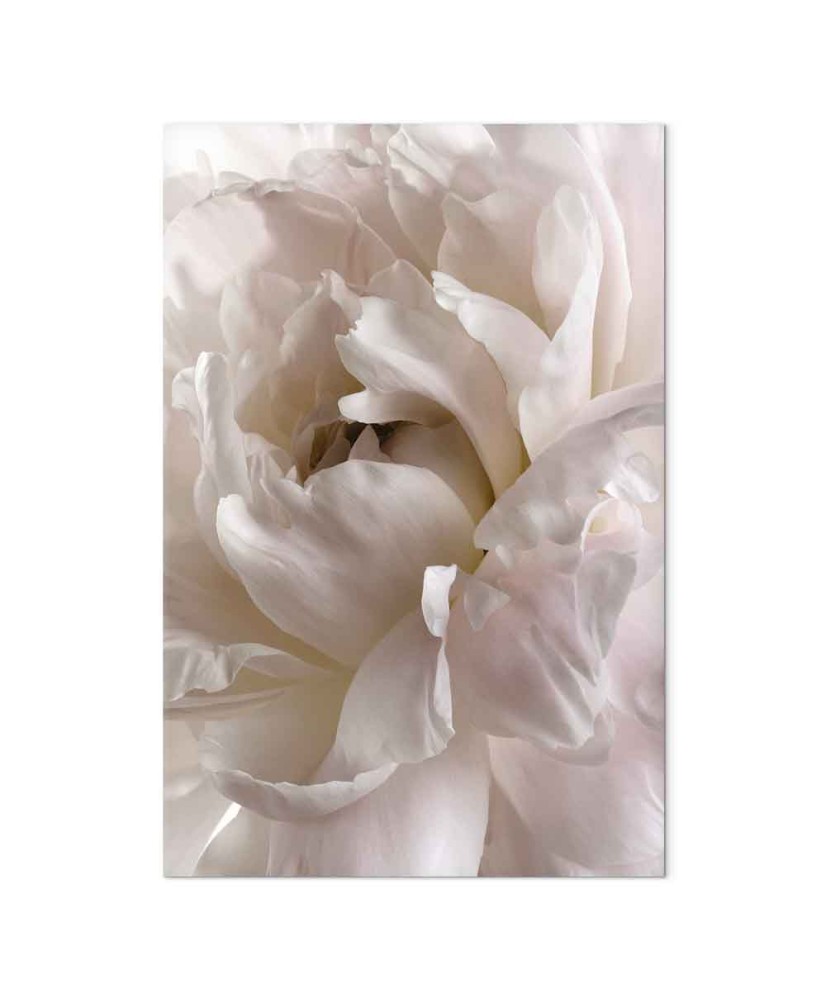 Paveikslas Pūkuota migla