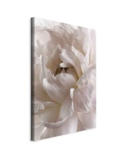 Paveikslas Pūkuota migla