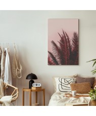 Paveikslas Palmių saulėlydis